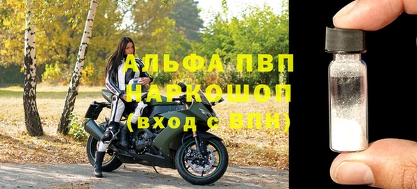 стафф Алексин