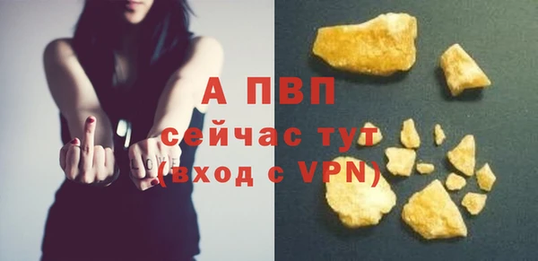 стафф Алексин