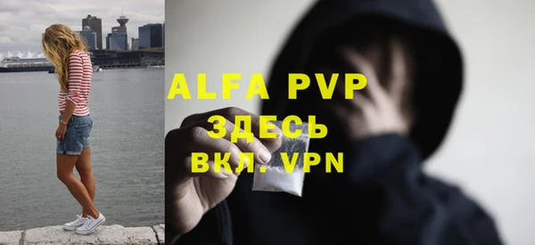стафф Алексин