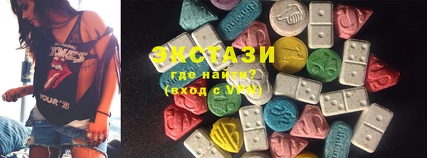 СК Ельня