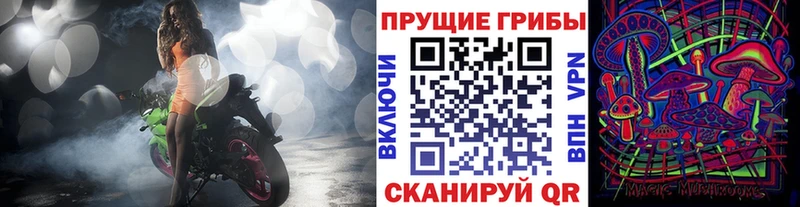 mega сайт  Невьянск  Псилоцибиновые грибы мицелий 
